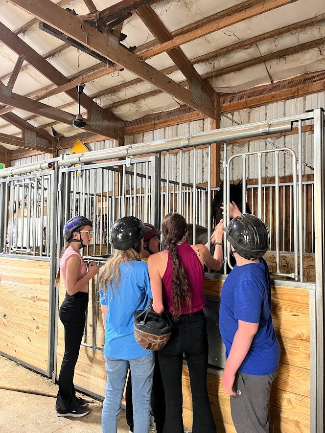 students petting horse in stall