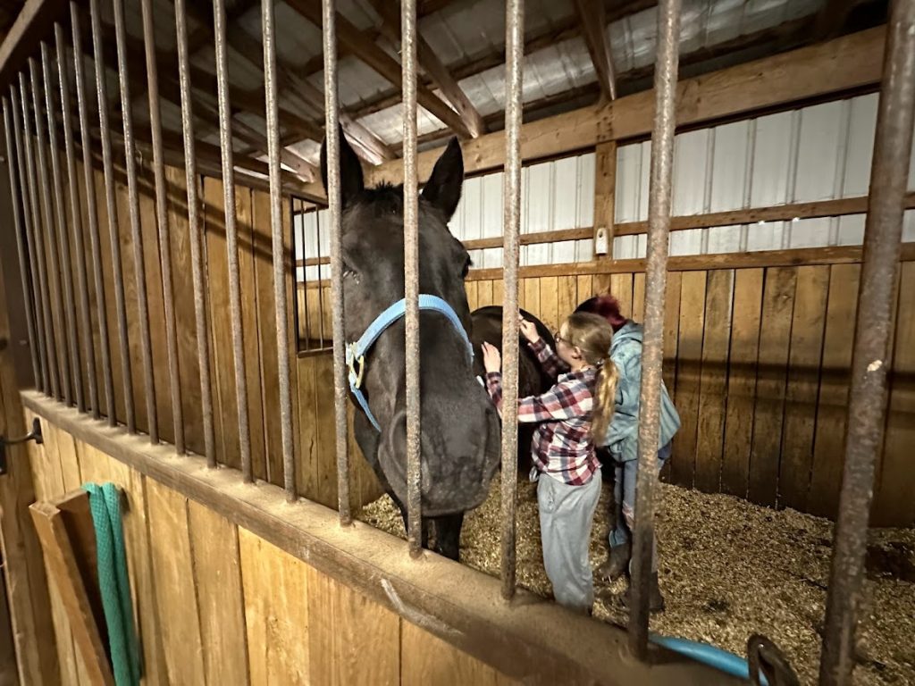 students groom horse