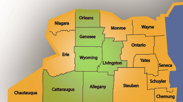 Literacy West Territory- Allegany, Cattaraugus, Genesee, Livingston, Orleans and Wyoming Counties highlighted